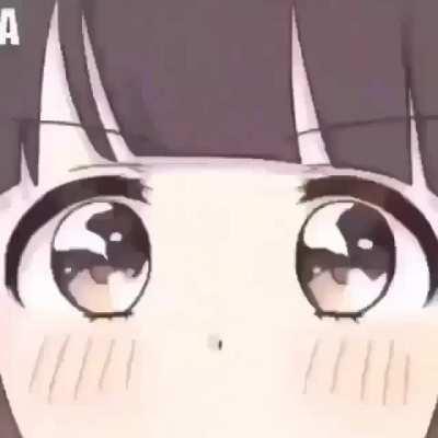 This entire subreddit in a nutshell