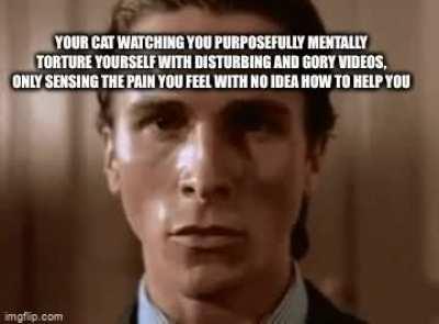 They don’t understand