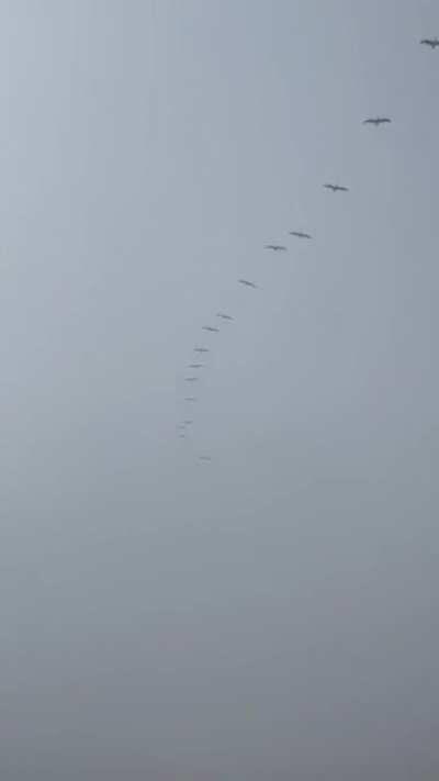 New prototype swarm being beta tested