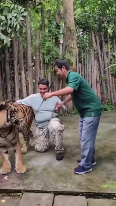 Indian tourist gets attacked by tiger (No Gore)