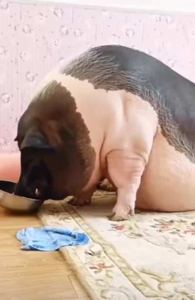 eyaa eyaaaay eloooo eloooo