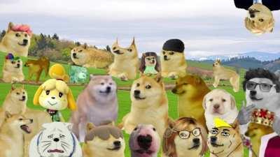 Doge 2 Arrives?!?!?!