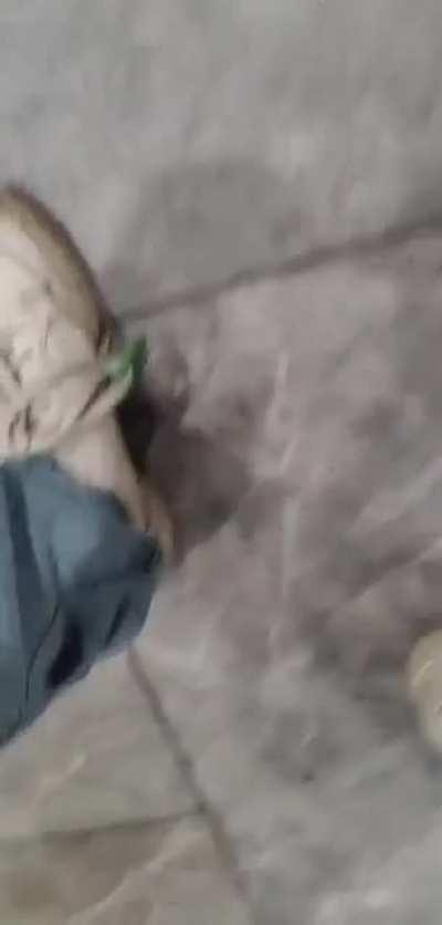 I hste purple poepls