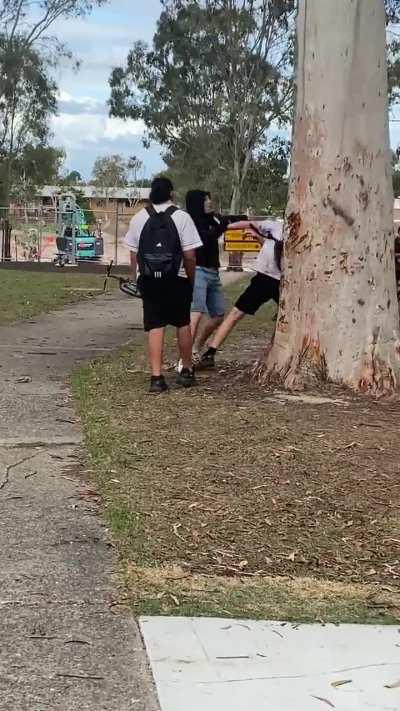 From Australia (not mine)