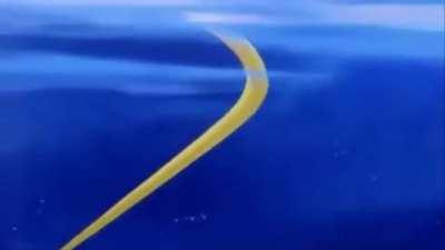 The Amh Araeng experience