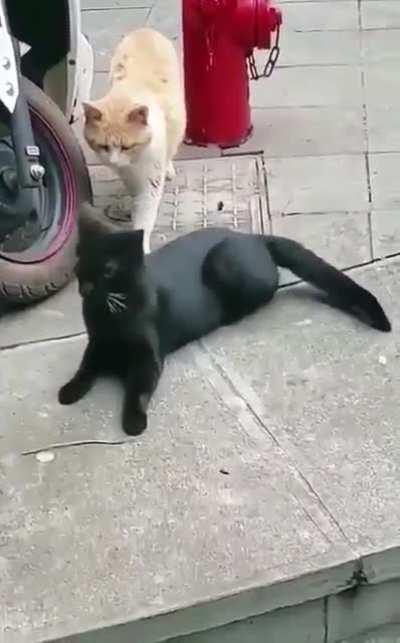 She catches him red handed with other girl