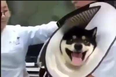 i think this is perfectly cut