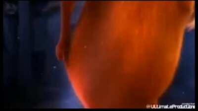 Al loracs no le gustó tu BEAT