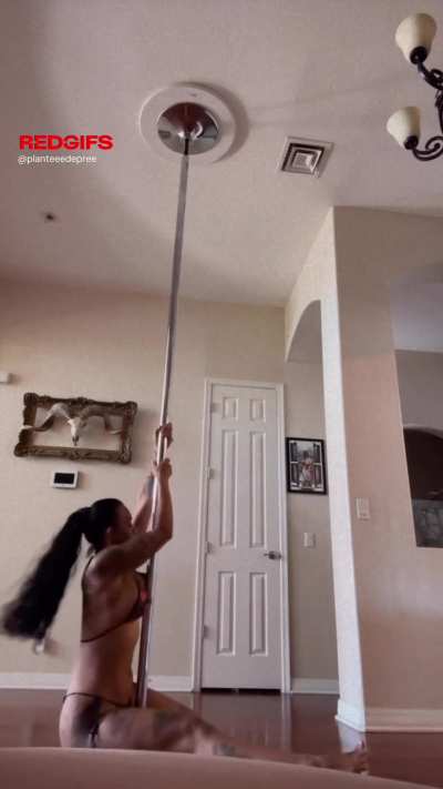 Midnight pole dancer