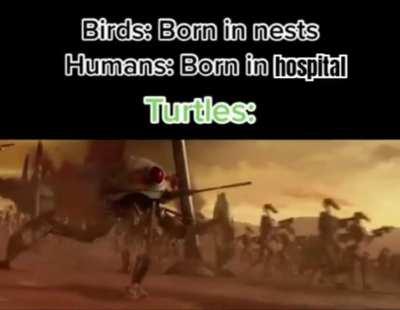 They gotta earn there lives