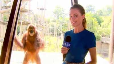 Agustus, the fearsome lad with a big smile