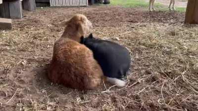 There's nothing better than having a bro that you can lean on when you need them