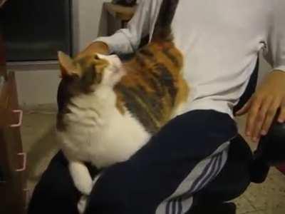 spank me or you'll suffer !