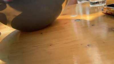 No shame in her butt play game