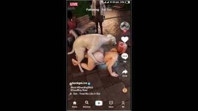 Publicly knotted and live streamed (Bonkdoge 3d)