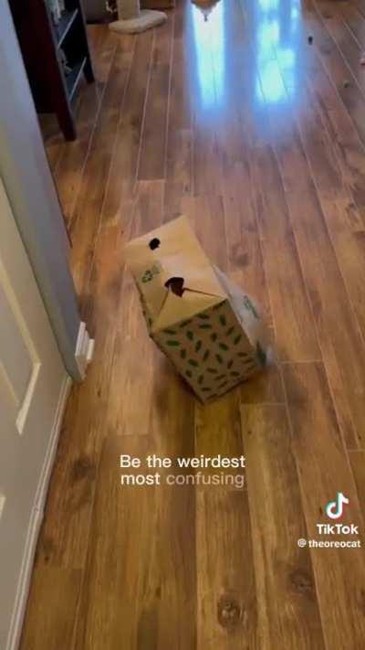 This audio belongs to people with 4 and 7 in their tritype lol