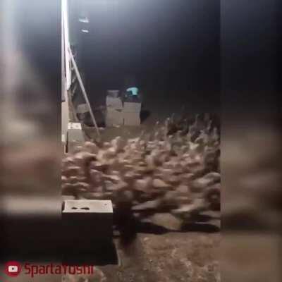 WSB Retards At Market Open