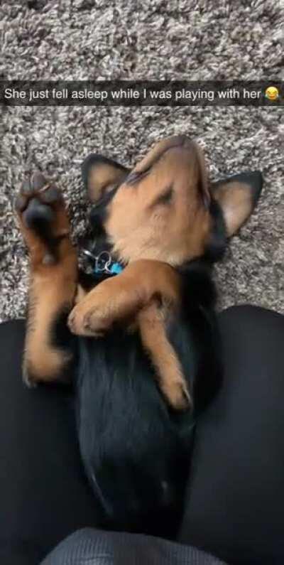 Took this of my dog about a year ago.