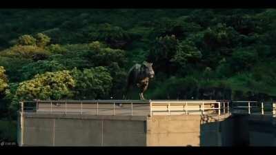 Dinosaurs have bodily functions too