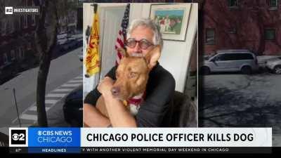 Surveillance video, off-duty officer fatally shoots a dog while the owner was in the line of fire, trying to separate the two dogs.