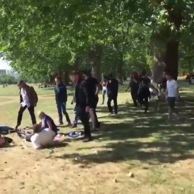 Racist far right supporters in London harass a group having a picnic
