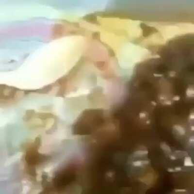 My cellmate be doing me wrong smh