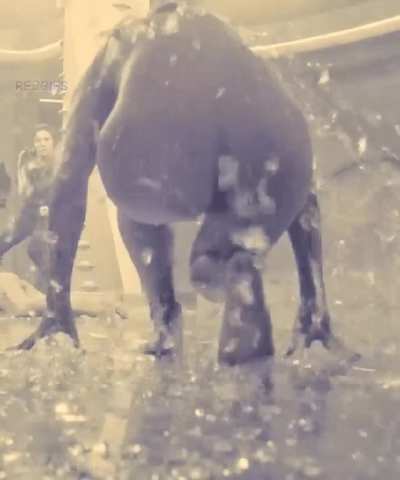 Dichen Lachman in Altered Carbon 2018