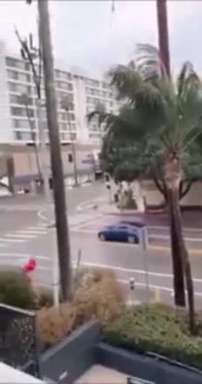 WCGW if I release balloons into the wild?