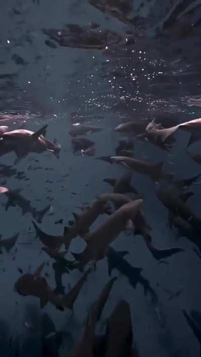 Would you like to get sucked into a NURSENADO?!! 😄