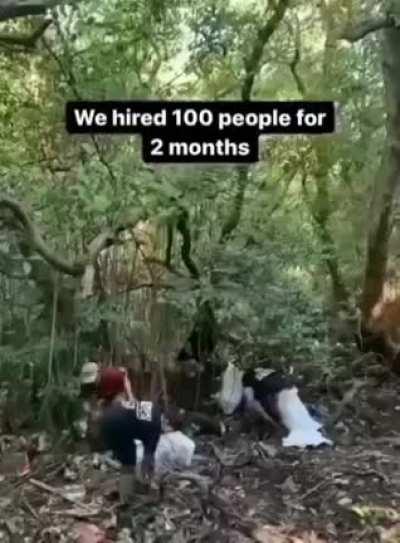 cleaning up the mangroves of Bali