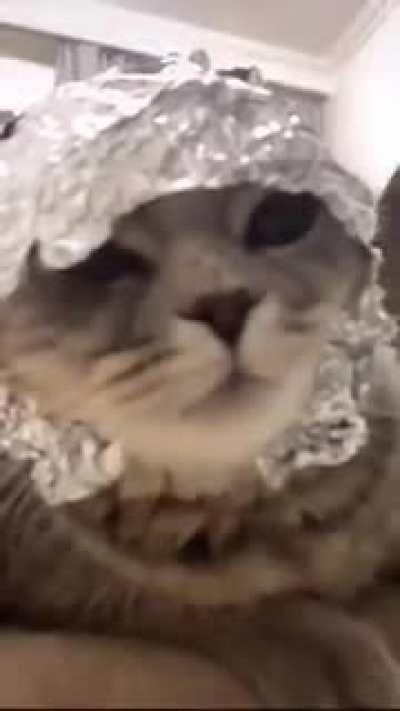 Amazing metal cast in tree stump