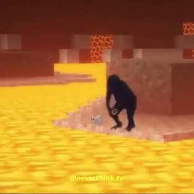 Monky