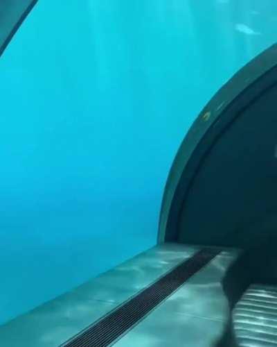 This underwater master suite in Maldives