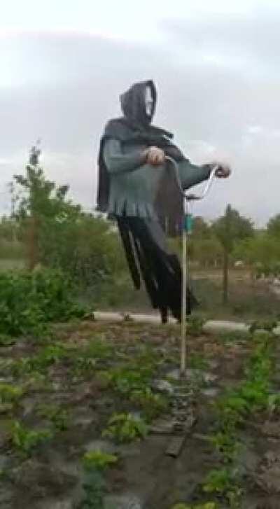 Крутое пугало V