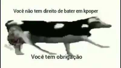 Você tem obrigação, seu arrombando 😠🖐️