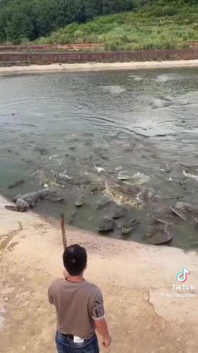 I know you find me delicious, but I won't let you caught me..