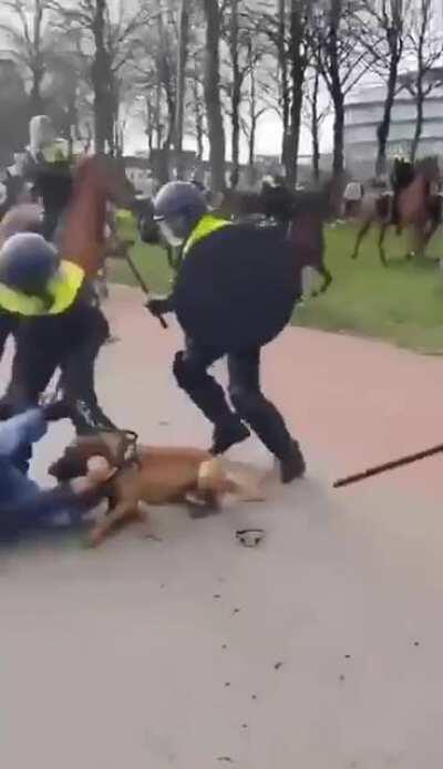 Anti lockdown protest violently ended by police in The Hague, Netherlands.