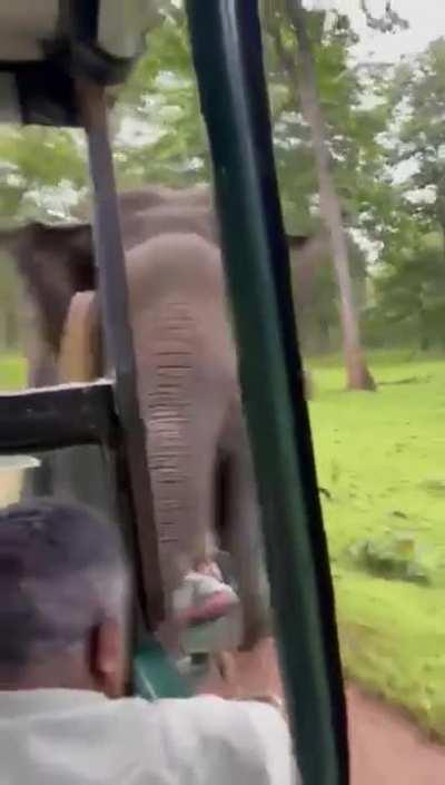 Too fast too furious