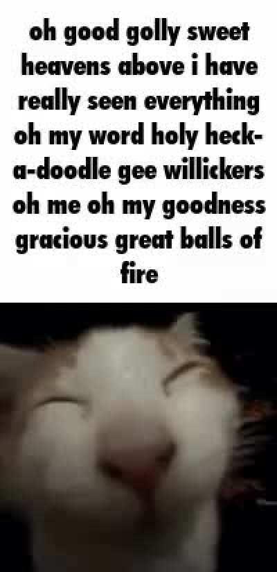 shitposting daily because I am incredibly bored (#452)