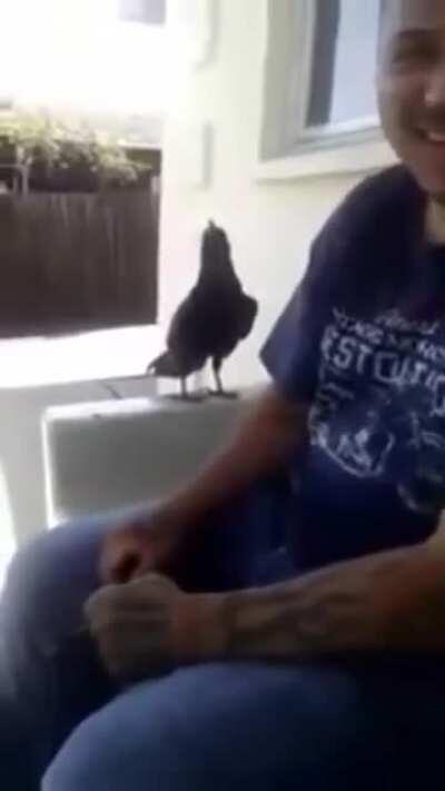 Aww, it's so innocent!