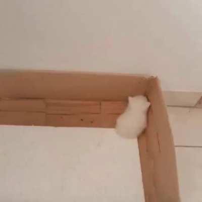 their height is 0.0000001cm 