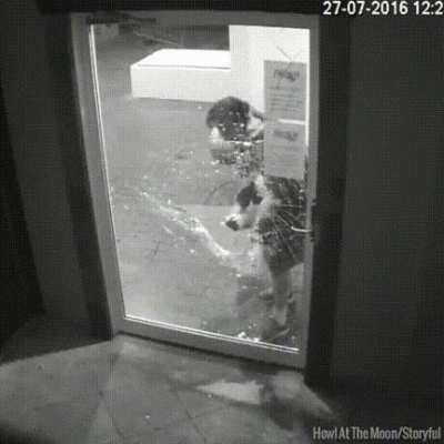 The more you keep watching this the dumber it will get. Promise.