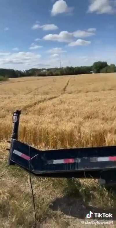 It gets worse the longer you watch