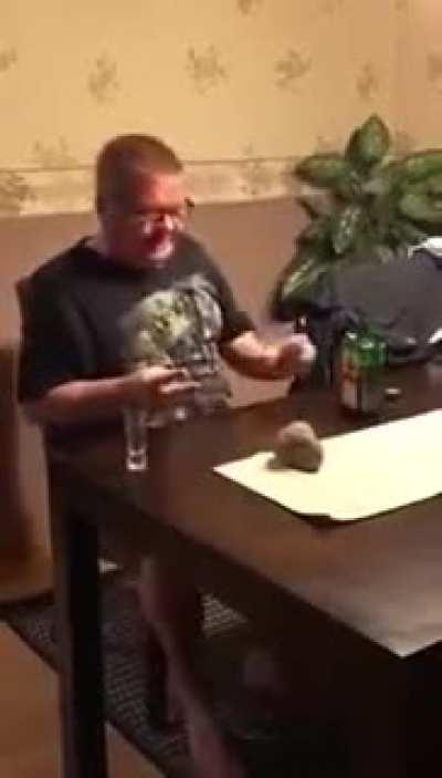 Hedgies VS. Diamond Hands 🙌💎🙌