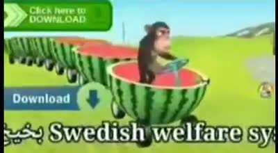 Monkey doesn't wear any pants