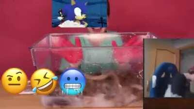 푸른 Tentacle Video 고래 챌린지