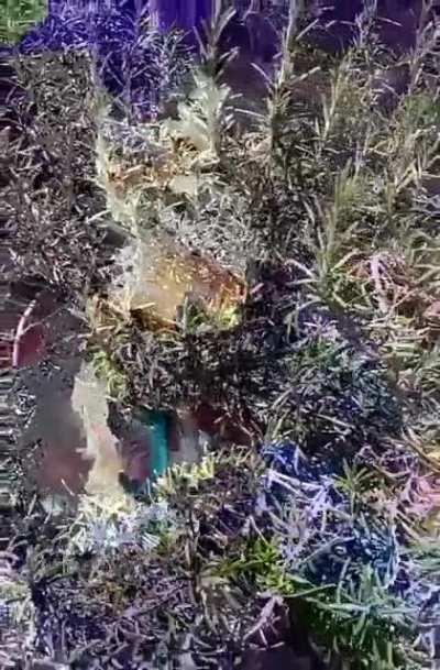 Isso já aconteceu com vcs?