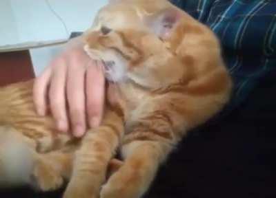 No, no I was comfortable