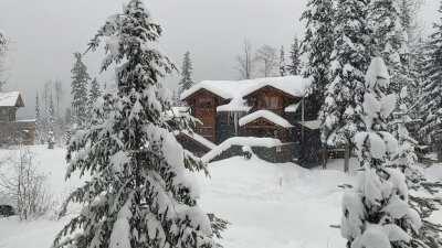 (OC) Snow falling in Kicking Horse, Canada