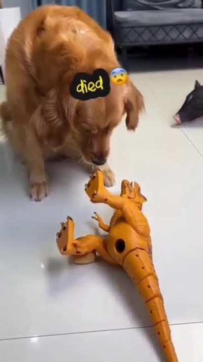 The Art of the Deal! 🤣